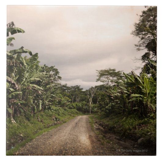 遠隔ジャングルの道 タイル (正面)