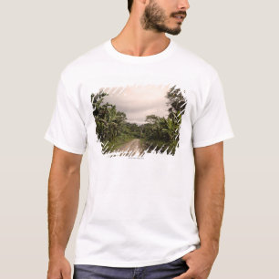 遠隔ジャングルの道 Tシャツ