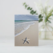 遠隔ビーチ ポストカード (スタンド正面)