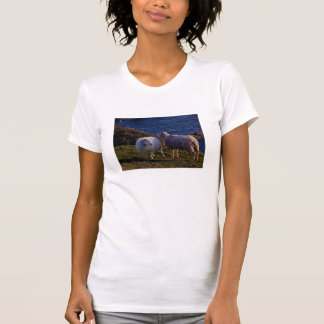 遠隔海岸線のデボン南2のヒツジ Tシャツ
