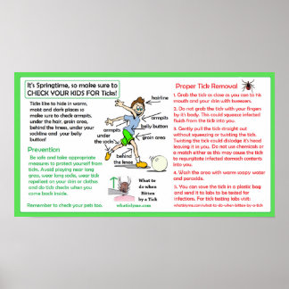 適切なダニ除去ポスターライム病予防 ポスター