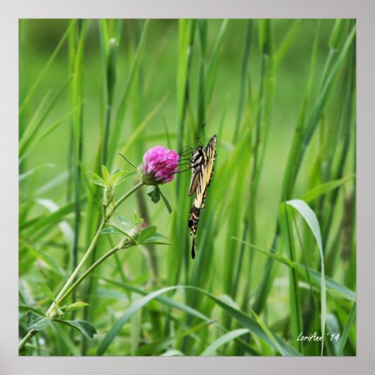 適切なパーチ ポスター (正面)