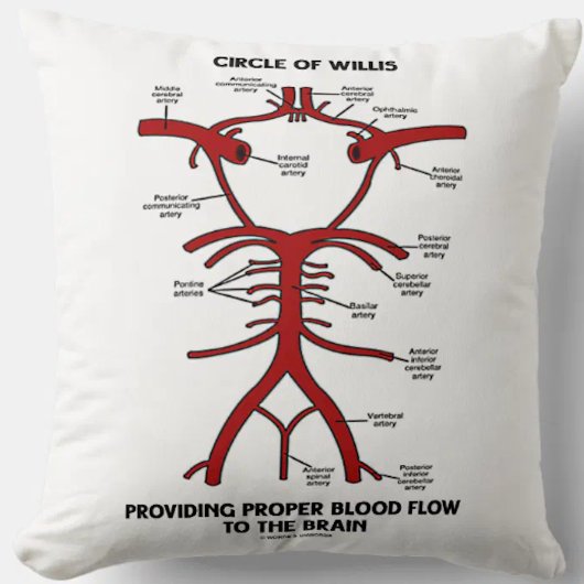 適切な血の流れの頭脳を提供するWillisの円 クッション