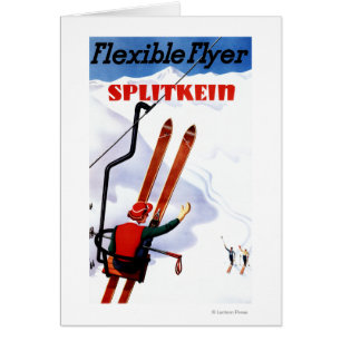 適用範囲が広いフライヤのSplitkeinの木のスキー広告宣伝