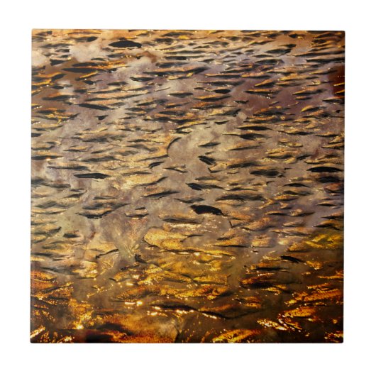 適用金ゴールド タイル (正面)