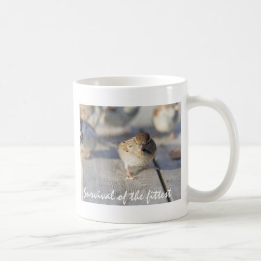 適者生存 コーヒーマグカップ (右)