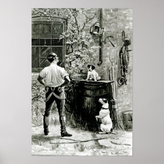 適者生存 ポスター (正面)