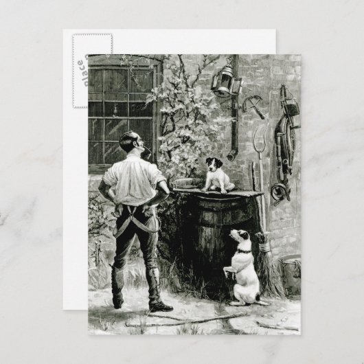 適者生存 ポストカード (正面/裏面)