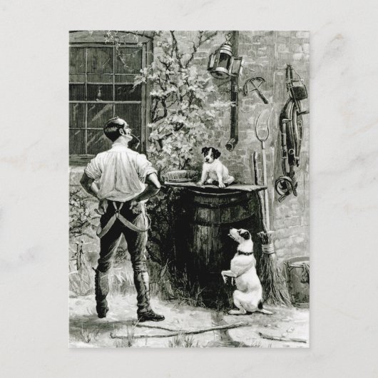 適者生存 ポストカード (正面)