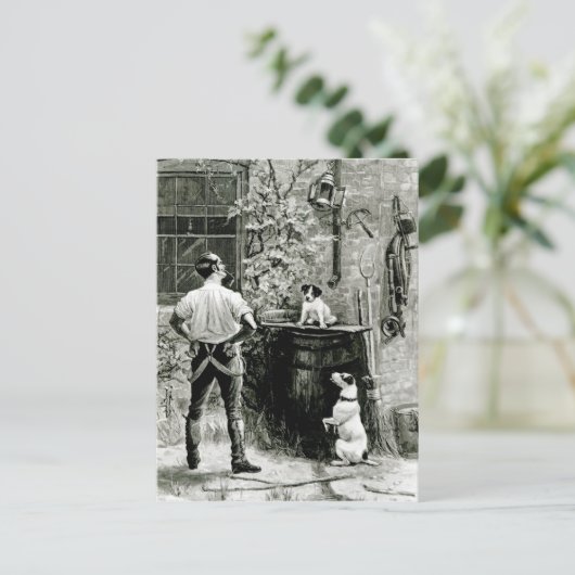 適者生存 ポストカード (スタンド正面)