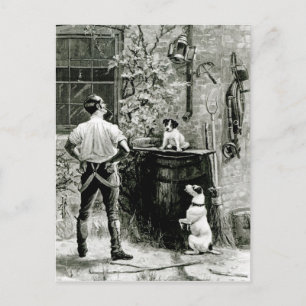 適者生存 ポストカード