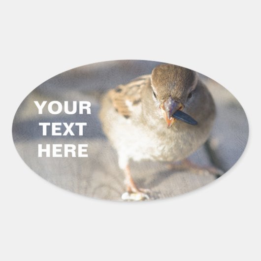 適者生存 楕円形シール (正面)