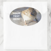 適者生存 楕円形シール (バッグ)