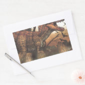 適者生存.jpg 長方形シール (封筒)