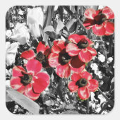 選択的美しい – アネモネの花 スクエアシール (正面)