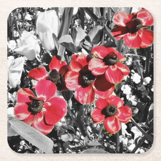 選択的美しい- Anemone Broms紙コースター スクエアペーパーコースター (正面)