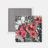 選択美しい- Anemone Bloses Magnet マグネット (正面/裏面)