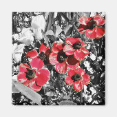 選択美しい- Anemone Bloses Magnet マグネット (正面)