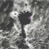 選択 シール (正面)