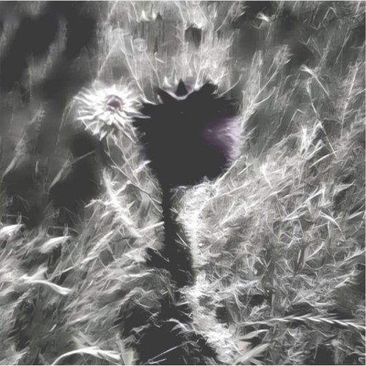 選択 シール (正面)