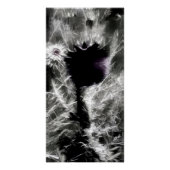 選択 ポスター (正面)