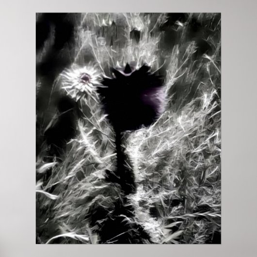 選択 ポスター (正面)