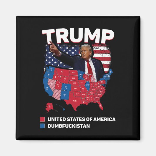 選挙マップ2024米国ダンビスト マグネット (正面)