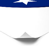 選挙労働者は民主主義のためにそれをする ポスター (コーナー)