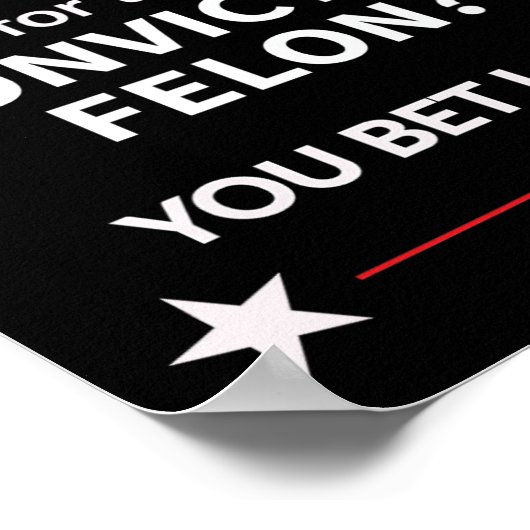 選挙投票大統領の議員をトランプする ポスター (角)