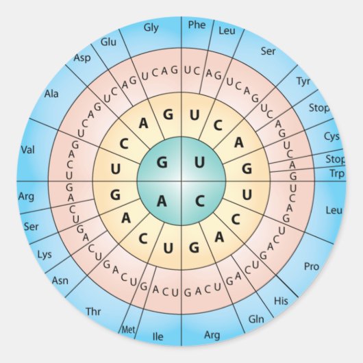 遺伝コードクラシック丸ステッカー ラウンドシール (正面)