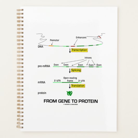 遺伝子からタンパク質分子生物学まで プランナー手帳 (正面)