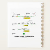 遺伝子からタンパク質分子生物学まで プランナー手帳 (裏面)