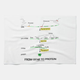遺伝子から蛋白質への キッチンタオル