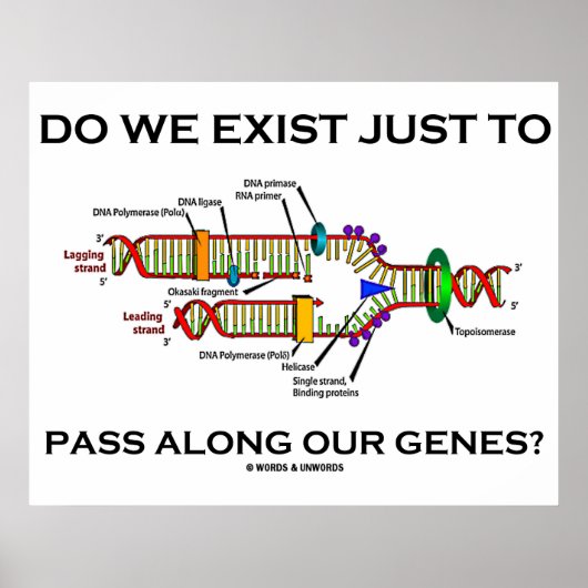 遺伝子を通り抜けるだけなのか？ ポスター (正面)