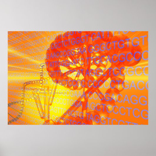 遺伝子研究 ポスター (正面)