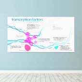 遺伝子転写因子の図 キャンバスプリント (インサイチュ (ウッドフロア))