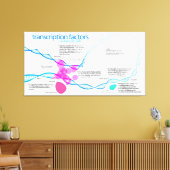 遺伝子転写因子の図 キャンバスプリント (インサイチュ (リビング))