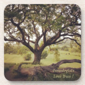 遺伝学者ラブツリーズコースターセット6 コースター (正面)