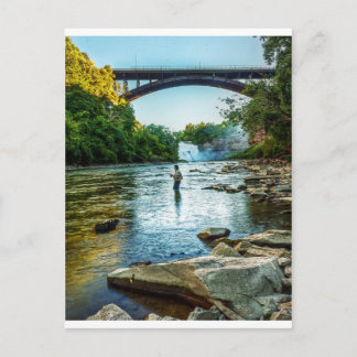 遺伝学者 ポストカード