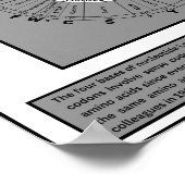 遺伝暗号の車輪 ポスター (角)