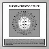 遺伝暗号の車輪 ポスター (正面)
