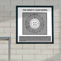 遺伝暗号の車輪