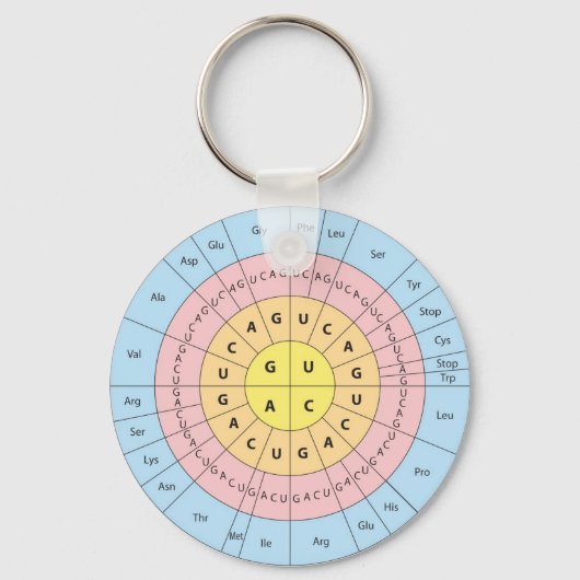 遺伝暗号キーチェーン キーホルダー (正面)