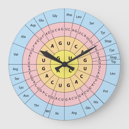 遺伝暗号 ラージ壁時計 (正面)