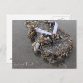 遺失物取扱所 ポストカード (正面/裏面)