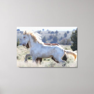 遺族キャンバスプリント キャンバスプリント