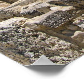 遺跡 ポスター (角)