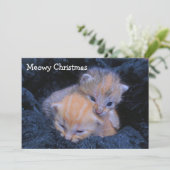 避難所の子ネコの休日 サンキューカード (スタンド正面)