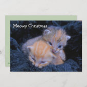 避難所の子ネコの休日 サンキューカード (正面/裏面)