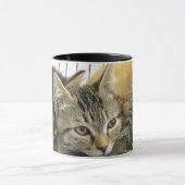 避難所の子ネコ マグカップ (中央)